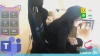 Capture at 2025-10-16 12:02:36