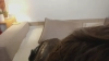 Capture at 2025-10-17 01:04:27
