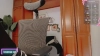 Capture at 2025-10-15 18:43:36