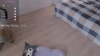 Capture at 2025-10-14 20:30:40