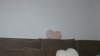 Capture at 2025-10-15 04:50:12