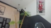 Capture at 2025-10-10 23:55:51