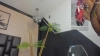 Capture at 2025-10-10 23:57:19