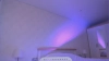 Karlee_Grey_ @Karlee_Grey_ webcam capture — Slim/Petite, Black hair, Various, 22 yrs, Straight — tags: sexy young teen, shaved funny horny, pussy friendly toys ass wild, hot new beautiful naughty, smart masturbation, smile nice ass fun skype, long hair wet, dildo dance feet, cum teen tits legs paypig, pretty curvy big tits bisexual, private new model tattoos tease, playful boobs kinky, naked petite fetish big ass, shy nice pvt sensual single, big boobs strip student cam2cam, crazy lovely flirty c2c kiss, girl next door lovense roleplay, striptease stockings heels slim, happy long legs submissive sex, tattoo erotic tight pussy finger, glasses 18 exotic intelligent, nice smile sexy lips lingerie, blowjob  eyes wet pussy, innocent orgasm bbw bdsm, role play open minded lush oral, oil skype show  tits thick, honest sexy ass smoking, pretty face skinny love romantic, russian brown, lips toy model tight spanking, girl booty, nude 420 white vibrator
