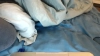 Capture at 2025-10-14 05:40:34