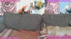 Kat_Kitsune @Kat_Kitsune webcam capture — Little in the middle, Black hair, Hazel eyes, Caucasian, 38 yrs, Bisexual — tags: natural, smile, NekoFoxx, Brunette, sweet, funny, tits, tarot, nerd, brunette, friendly, gamer, stoner, 420, hairy, weed, metal, witch, Canadian, big tits, sexy, pvt, thick, bong, lovense, Belly, Piercings, Ass, Lipstick, Kat_Kitsune, Cute, Bush