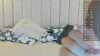 Capture at 2025-10-11 00:26:33
