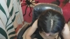 Capture at 2025-10-15 06:29:20