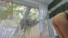 Capture at 2025-10-15 09:17:12