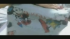 Capture at 2025-10-15 03:15:25
