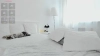 Capture at 2025-10-15 07:17:11