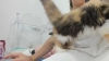 Capture at 2025-10-16 01:49:30