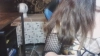 Capture at 2025-10-16 00:23:02