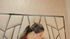 Kimberly_7 @Kimberly_7 webcam capture — Athletic, Blonde hair, Brown eyes, Hispanic, 31 yrs, Bisexual — tags: new, latina, all natural, ass, pussy, hot, beautiful, horney, cute, toys, squirt, dildo, blonde, sexy, masturbation, skype, big ass, blowjob, pussy play, doggy style
