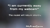 Capture at 2025-10-11 14:33:08