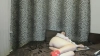 Capture at 2025-10-13 21:17:09