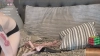 Kohlbird @Kohlbird webcam capture — Slim/Petite, Brown hair, Blue eyes, Caucasian, 38 yrs, Bisexual — tags: Petite, Brunette, Bisexual, Pvt, Alternative, Tattooed, Pretty, Dildos, Small tits, Intelligent, Blow job, Vibrator, Nerdy, New model, Sexy eyes, Private show, Masturbate, Sexy eyes, New, Lovense, Interesting, Playful, Pussy, Feet, Skinny, Humiliation, Hotwife, Master, Pinup, Glasses, Private, Slim