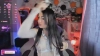 Konan_atsuko @Konan_atsuko webcam capture — Athletic, Black hair, Black eyes, Other, 23 yrs, Bisexual — tags: Big Boobs, Natural, Cumshow, Anal, Oil, Squirt, Lovense, Pvt, Dirty Talk, Naked, Bj, Blowjob, Striptease, Pussyplay, Twerk, Toys, Sex Machine, Big Ass, BDSM, ATM, Roleplay, Teen, Deepthroat, Spit on boobs, Dominant, Slave, Young, Domi, Lush, Ass to mouth, Shaved, Horny