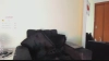 Capture at 2025-10-15 02:54:17