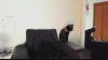 Capture at 2025-10-15 03:30:40