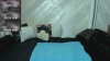 Capture at 2025-10-16 06:36:30