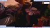 Capture at 2025-10-16 02:35:27