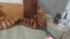Capture at 2025-10-15 11:16:25