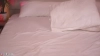 LexiReed @LexiReed webcam capture — Athletic, Brown hair, Hazel eyes, Caucasian, 25 yrs, Bisexual — tags: Sexy, Young, pussy, Boobs, Twerk, toys, BlowJob, Fuck, Ass, Squirt, Hard, Brunette, Fuck, masturbate, masturbating, Cum, Dancing, Europe, Feet, talking, Footjob, Oil, English, natural, long hair, Show, Shaved, Wet, tease, horny, Hard fuck, Dildo