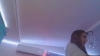 Capture at 2025-10-13 13:39:07