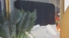 LisaJenner @LisaJenner webcam capture — Little in the middle, Black hair, Brown eyes, Other, 36 yrs, Straight — tags: sexy, cute, sweet, ass, tits, mature, milf, shaved, brunette, bigeyes, pussy, toys, smart, nice ass, long hair, fun, natural tits, cum, masturbation, curvy, new model, fetish, pussy play, c2c, lovense, naughty, playful, private, stockings, heels, blowjob, lush