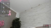 Capture at 2025-10-13 08:12:53