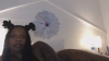 Capture at 2025-10-18 01:26:37