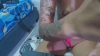 Capture at 2025-10-25 05:51:27