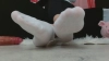 M_Angelina777 @M_Angelina777 webcam capture — Athletic, Brown hair, Brown eyes, Other, Straight — tags: mistress, feet, new model, private, heels, fetish, mistress, oil, brunette, findom, domination, smart, beautiful, natural, long hair, cuckold, outfits, nice feet, dominant, understanding, dom, talk, goddess, dominatrix, humiliation, financial domination, financial domination, pay pig, pay pig, smile