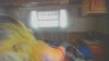 Capture at 2025-10-13 18:43:03