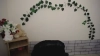 Capture at 2025-10-14 06:38:37