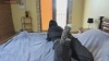 Capture at 2025-10-15 09:33:47