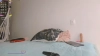 Capture at 2025-10-15 16:29:45