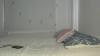 Capture at 2025-10-14 17:04:36