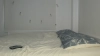 Capture at 2025-10-14 20:01:04