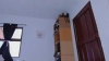 Marilyncruz__ @Marilyncruz__ webcam capture — 29 yrs, Straight — tags: sexy, cute, hot, natural, horny, pussy, big tits, natural tits, squirt, dildo, latina, cam2cam, nice ass, toys, skype, private, new model, anal, smart, shaved, young, blow job, crazy