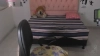 Mellissawish @Mellissawish webcam capture — Athletic, Blonde hair, Hazel eyes, Hispanic, 24 yrs, Straight — tags: sexy, sweet, hot, natural tits, toys, beautiful, ass, brunette, new, anal, masturbation, smile, tattoo, student, sex, dildo, private, bisexual, big boobs, cum, deep throat, erotic, girl, oral, pvt, cam2cam, young, kiss, blonde, innocent, show, colombian