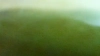 Capture at 2025-10-15 03:11:11