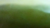 Capture at 2025-10-15 03:12:42
