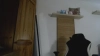 Capture at 2025-10-15 06:41:19