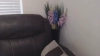 Capture at 2025-10-14 14:35:46