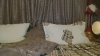 Capture at 2025-10-14 22:55:38