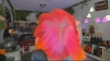 Capture at 2025-10-11 05:06:31