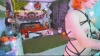 Capture at 2025-10-11 07:34:22