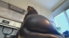 Capture at 2025-10-15 13:23:54